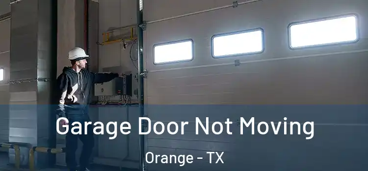 Garage Door Not Moving Orange - TX