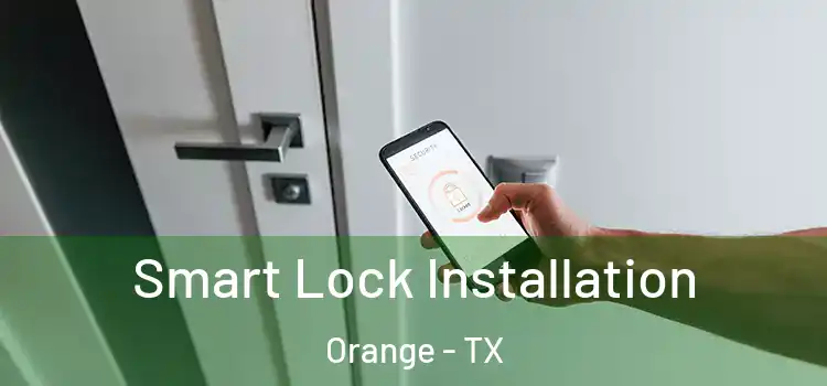  Smart Lock Installation Orange - TX